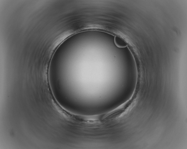 X0000113761137200909231159