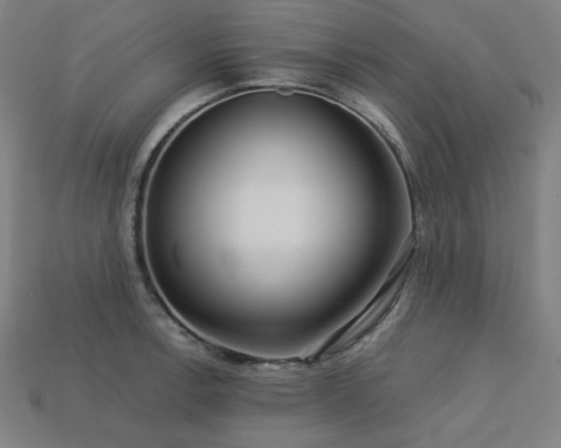 X0000113761138200909231159