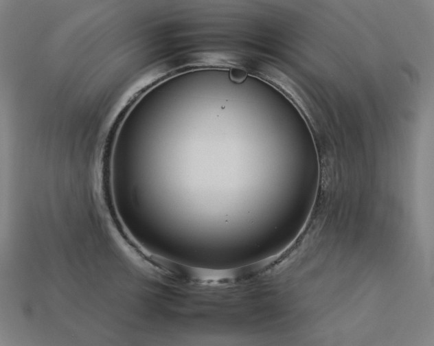 X0000113761139200909231159