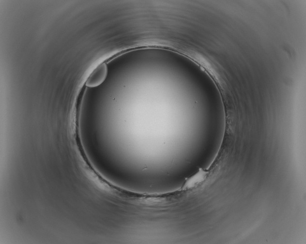 X0000113761140200909231159