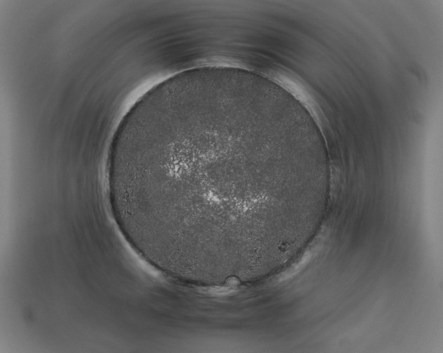 X0000113761141200909231159