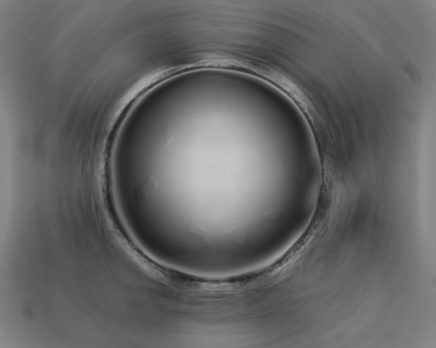 X0000113761142200909231159