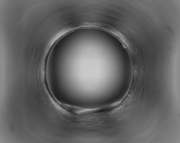 X0000113761143200909231159