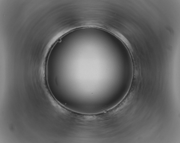 X0000113761144200909231159