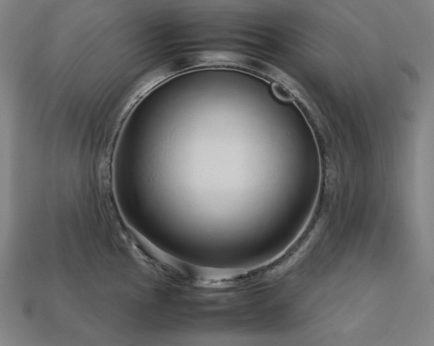 X0000113761145200909231159
