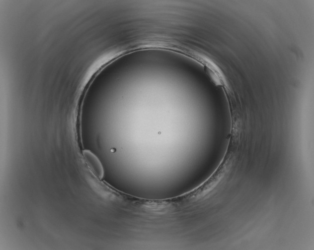X0000113761146200909231159