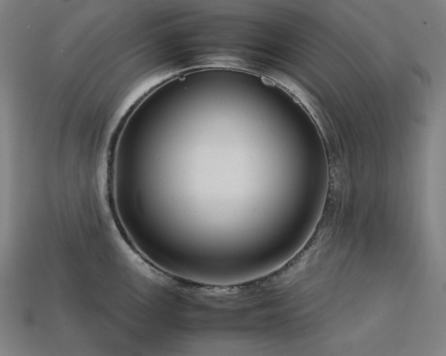 X0000113761147200909231159