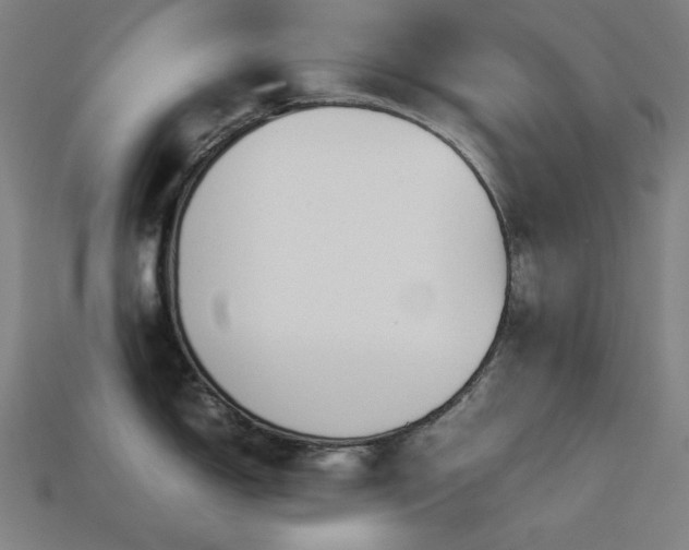 X0000113761150200909231159