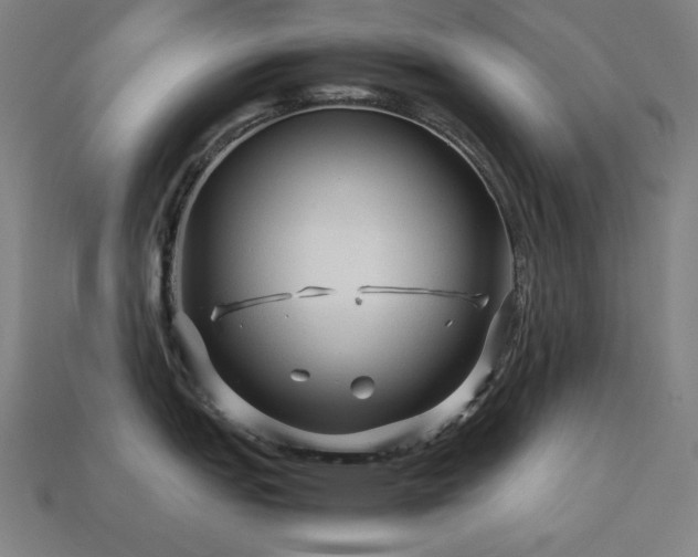 X0000113761151200909231159