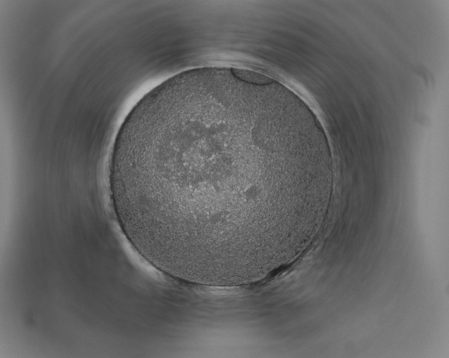 X0000113761152200909231159