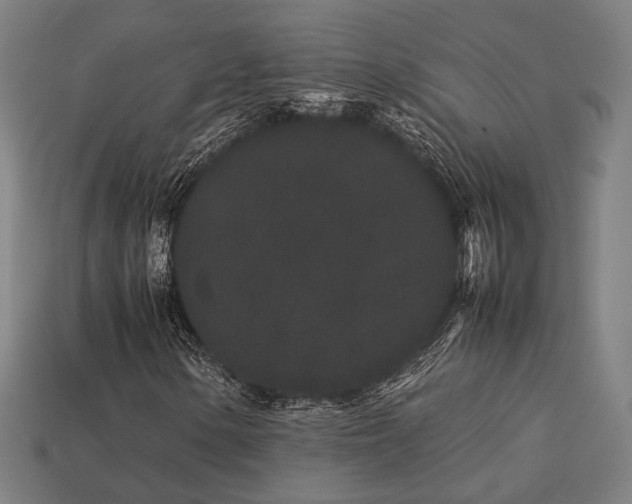 X0000113761154200909231158