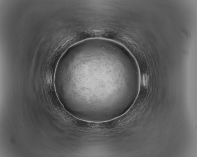X0000113761155200909231158