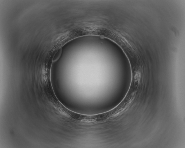 X0000113761156200909231158