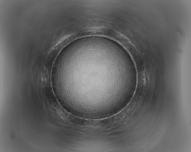 X0000113761158200909231158