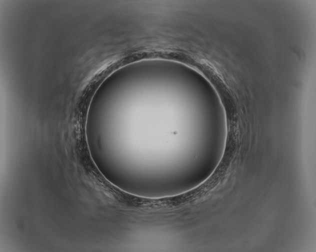 X0000113761159200909231158