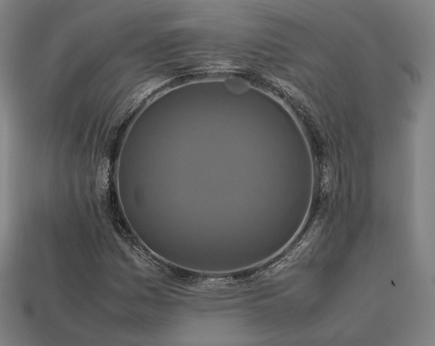X0000113761161200909231158