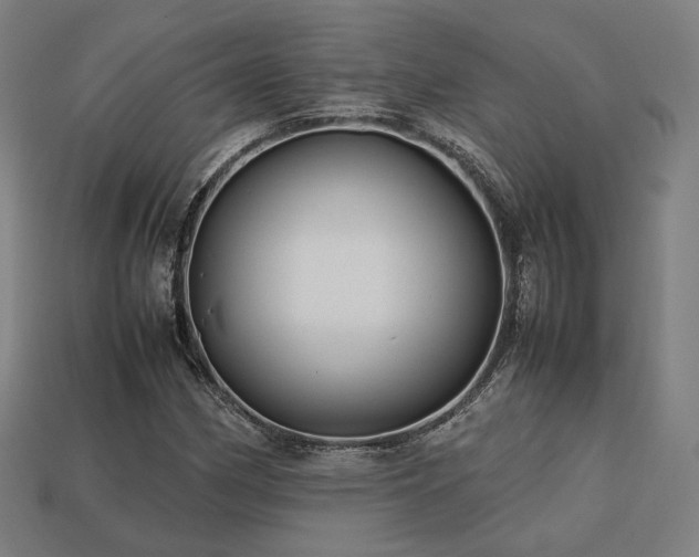 X0000113761162200909231158