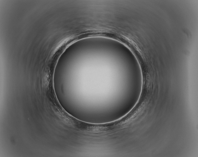 X0000113761163200909231158