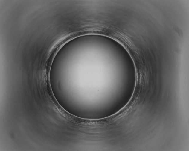 X0000113761164200909231158