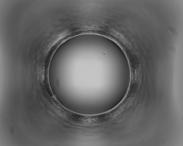 X0000113761165200909231158