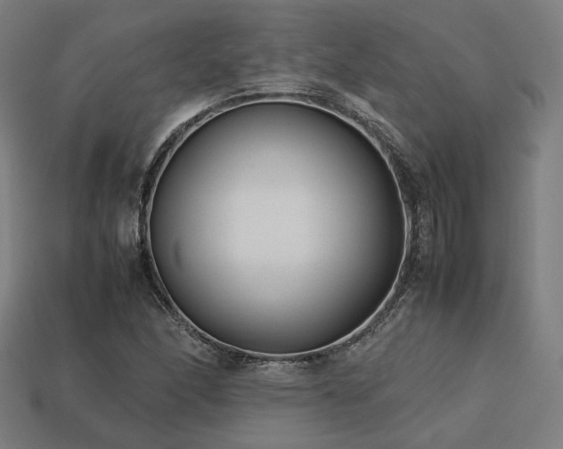 X0000113761166200909231158