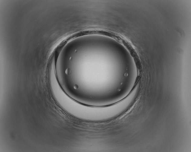 X0000113761167200909231158