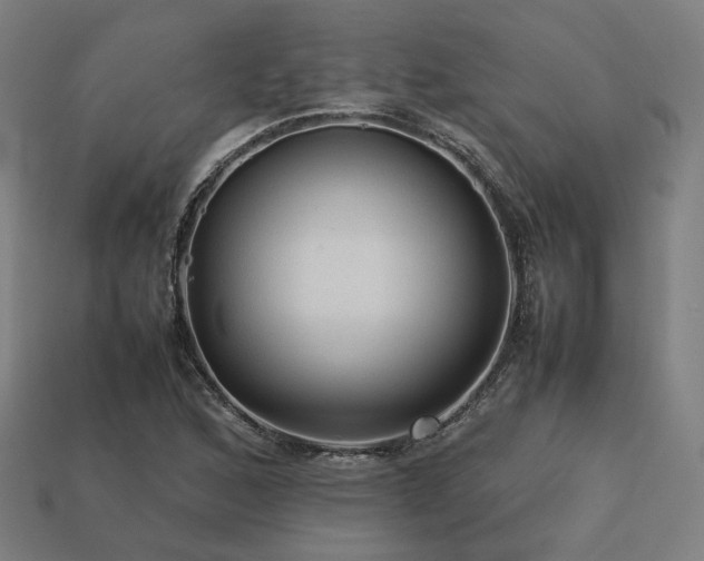 X0000113761168200909231158