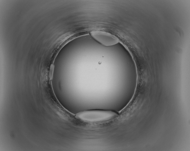 X0000113761169200909231158