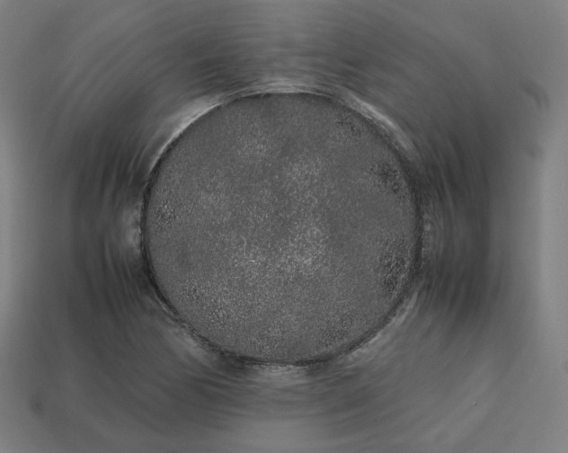 X0000113761170200909231158