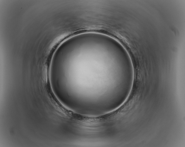 X0000113761171200909231158