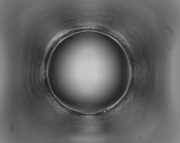 X0000113761172200909231158