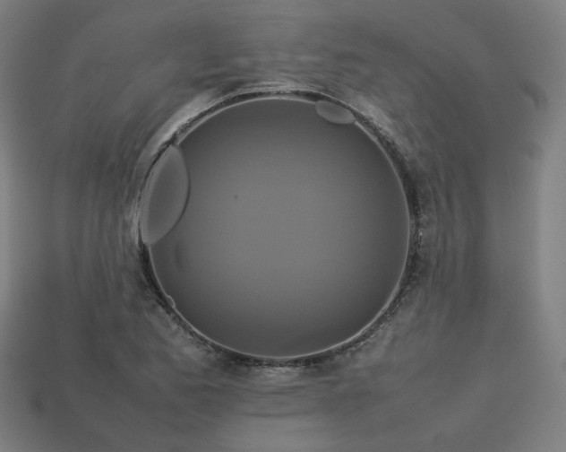 X0000113761173200909231158