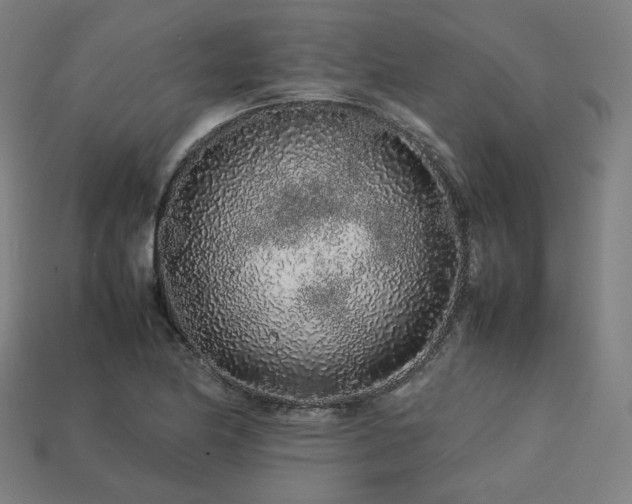 X0000113761174200909231158