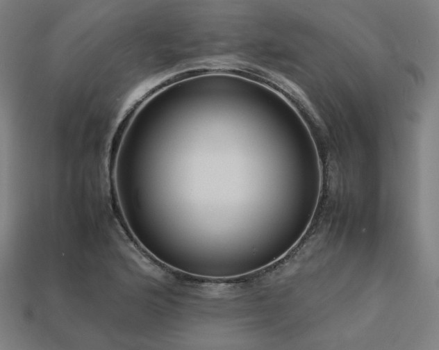 X0000113761176200909231158