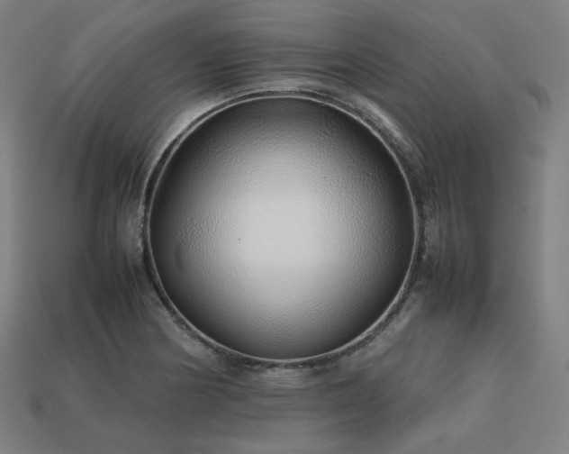 X0000113761178200909231158