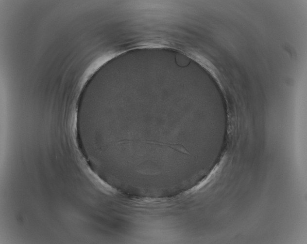 X0000113761179200909231158
