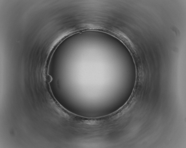X0000113761182200909231158