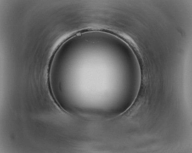 X0000113761183200909231158