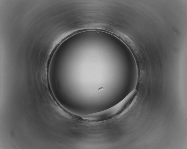 X0000113761184200909231158