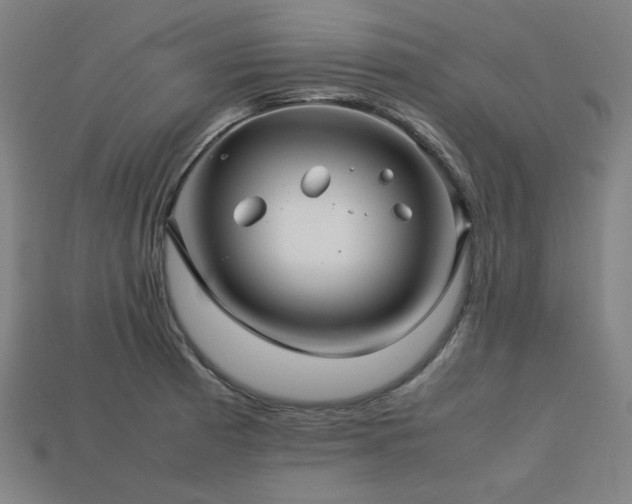 X0000113761185200909231158