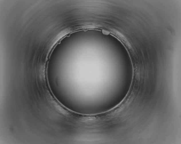 X0000113761186200909231158