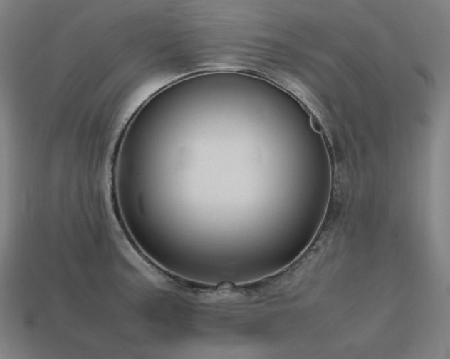 X0000113761187200909231158