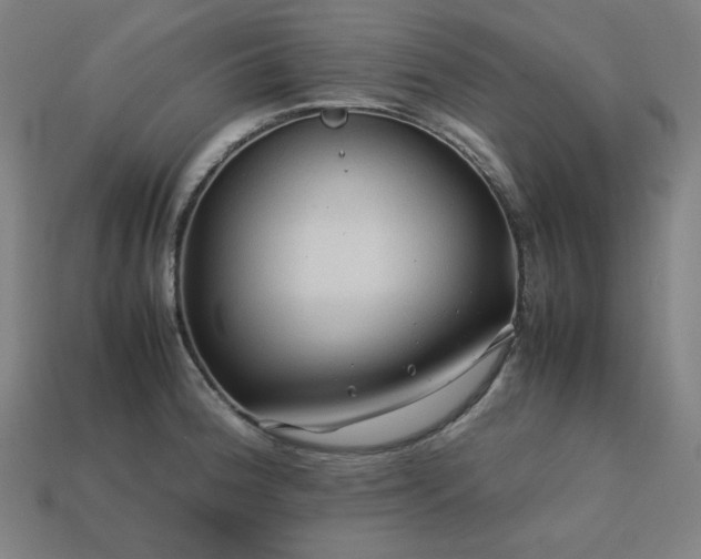 X0000113761188200909231158