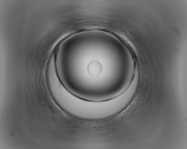 X0000113761189200909231158