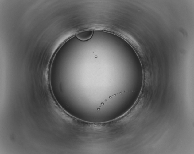X0000113761190200909231158