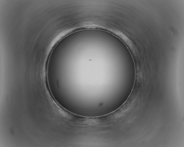 X0000113761191200909231158