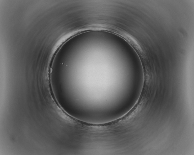 X0000113761192200909231158