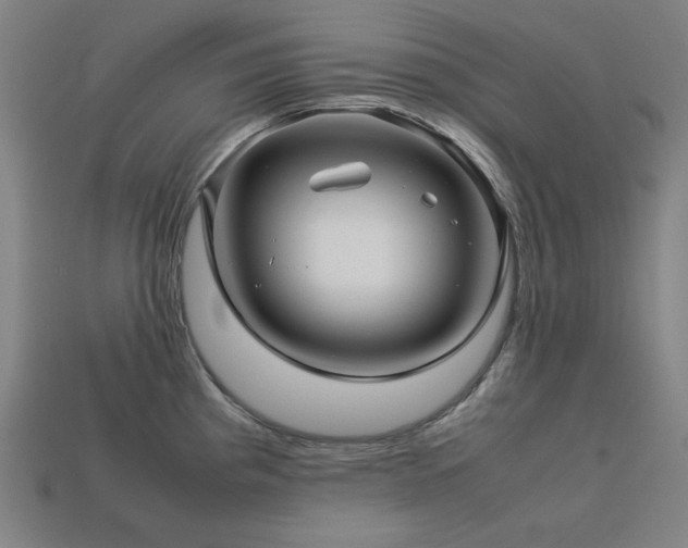 X0000113761193200909231158