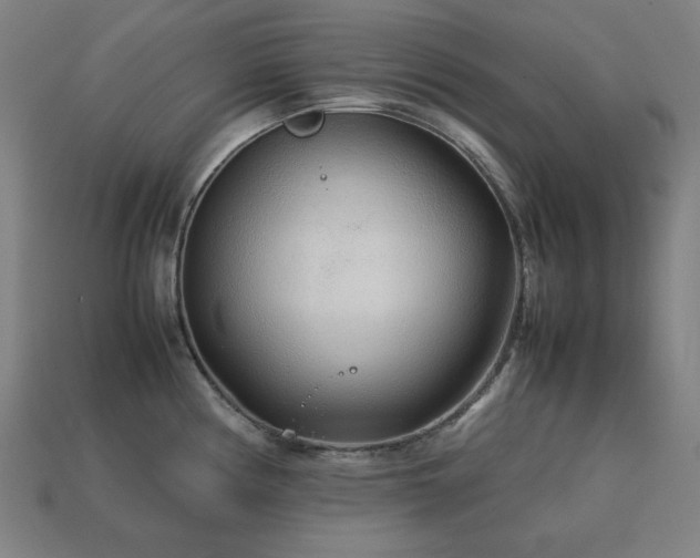 X0000113761194200909231158