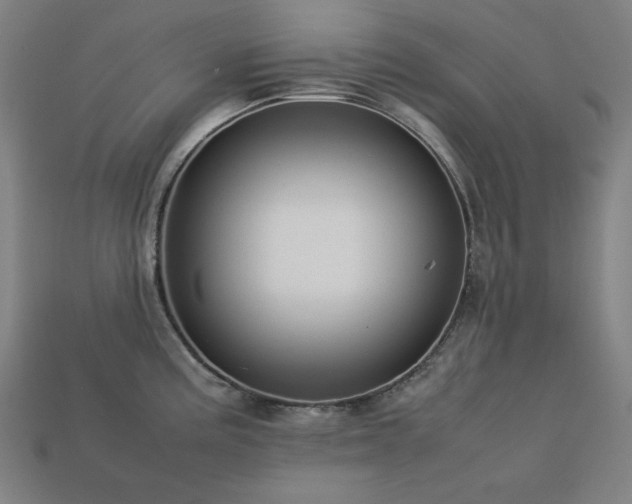 X0000113761195200909231158